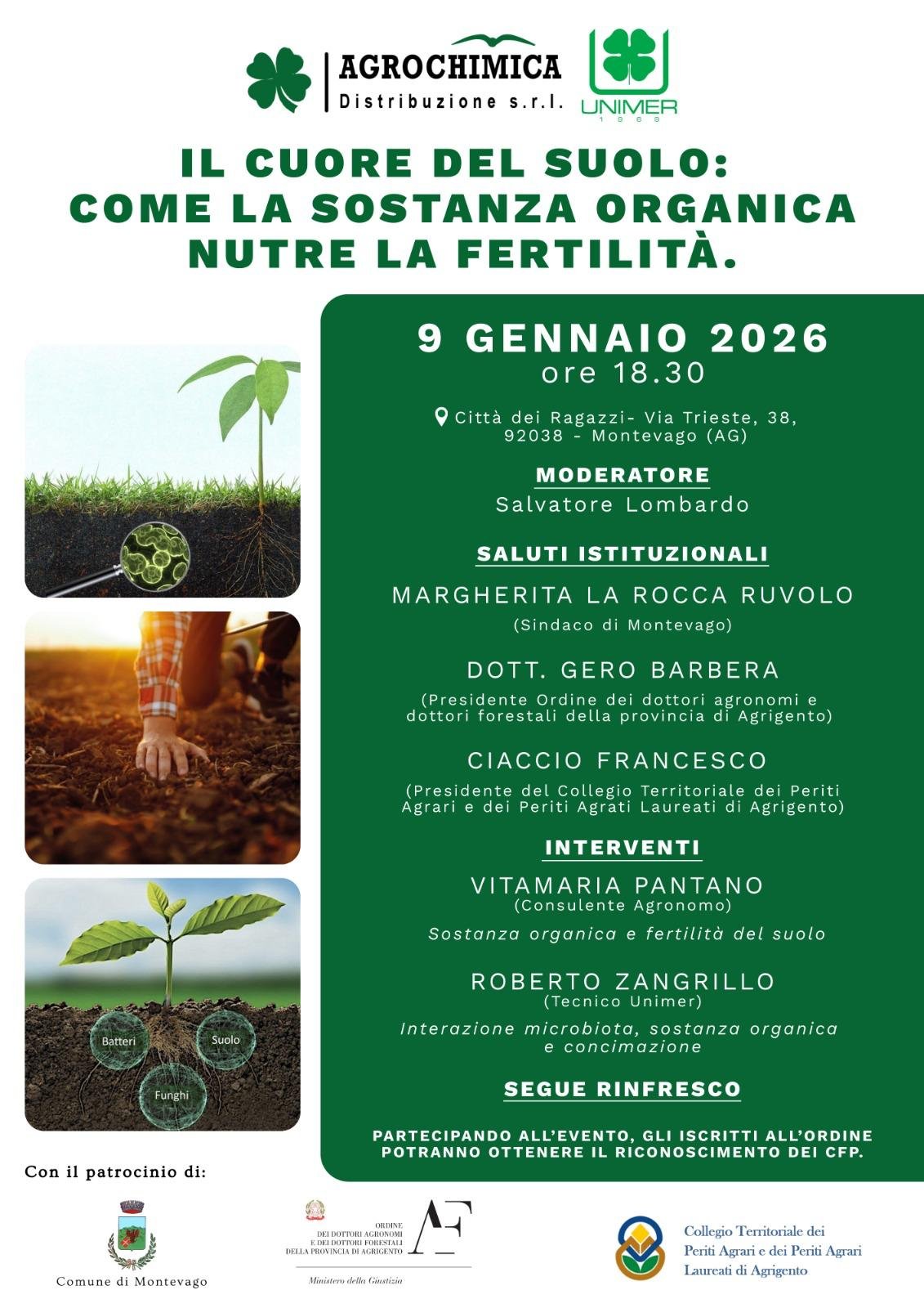 IL CUORE DEL SUOLO :  COME LA SOSTANZA ORGANICA NUTRE LA FERTILITA'